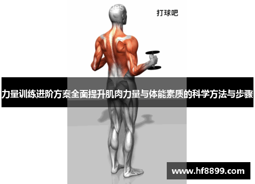 力量训练进阶方案全面提升肌肉力量与体能素质的科学方法与步骤