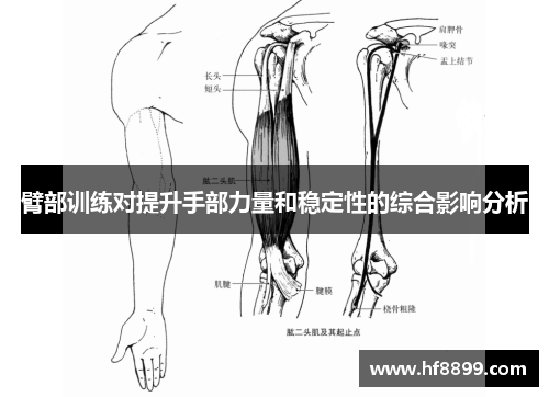 臂部训练对提升手部力量和稳定性的综合影响分析